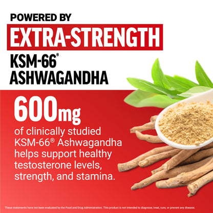 Force Factor Test X180 Testosterone Support for Men - KSM-66 Ashwagandha, Boron, Vitamin D & Zinc - Performance & Testosterone Support (Berry Blast, 60 Soft Chews)