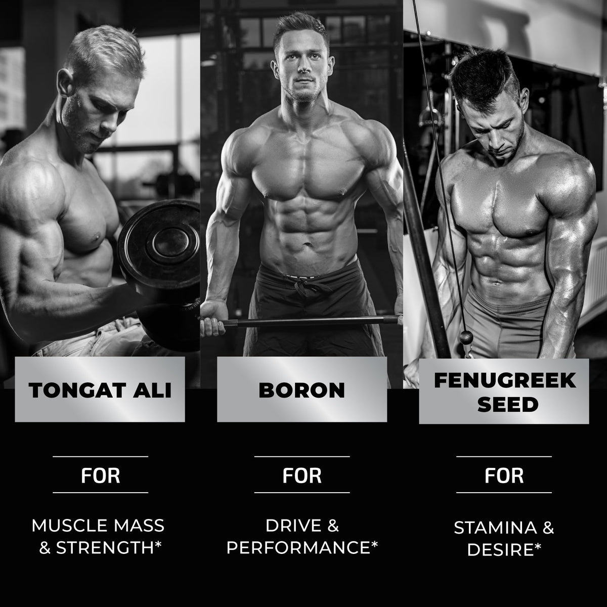 Test Boost Max Testosterone Gummies for Men - Muscle Growth, Stamina & Performance - Tongkat Ali Male Enhancement Supplement