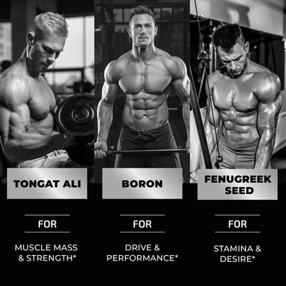 Test Boost Max Testosterone Gummies for Men - Muscle Growth, Stamina & Performance - Tongkat Ali Male Enhancement Supplement