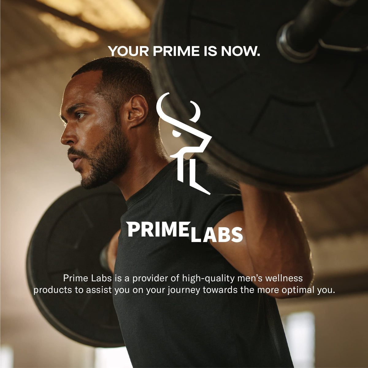 Testosterone Booster for Men - Energy, Strength, Stamina & Endurance Support Supplement - Prime Labs (2 Pack, 120 Caplets)