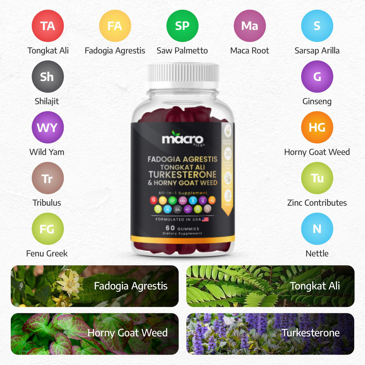 MACRO VITAL Testosterone Booster Gummies for Men - Energy, Libido & Muscle Support - Turkesterone, Tongkat Ali, Maca, Tribulus
