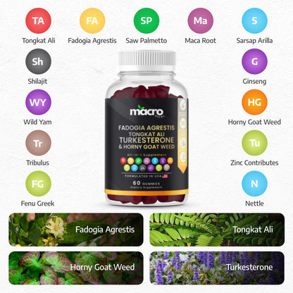 MACRO VITAL Testosterone Booster Gummies for Men - Energy, Libido & Muscle Support - Turkesterone, Tongkat Ali, Maca, Tribulus