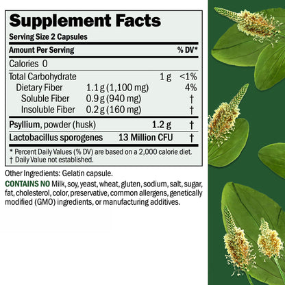 ANDREW LESSMAN Fibermucil 1000 Capsules -Psyllium Husk Powder. Gently Promotes Regularity and Digestive Health. Rich in Fiber. Gentle, Easy, Effective. No Additives. Small Easy to Swallow Capsules