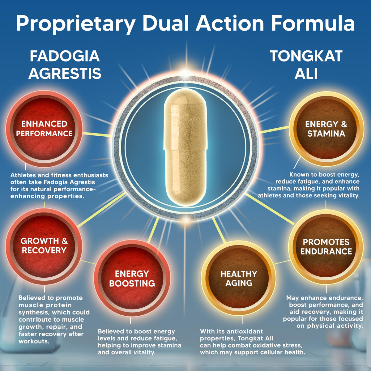 Fadogia Agrestis 1000mg & Tongkat Ali 400mg Capsules - Men's Testosterone Support Supplement - aSquared Nutrition 120 Capsules